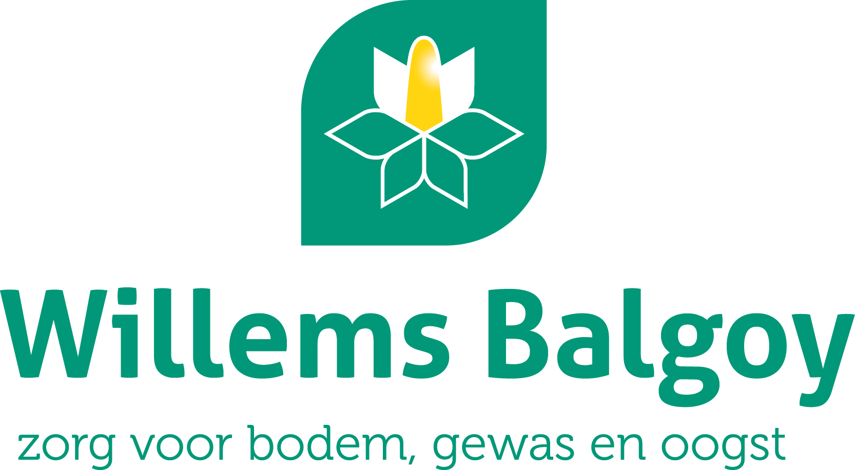Logo WillemsBalgoy gecentreerd